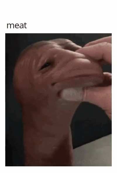 rule