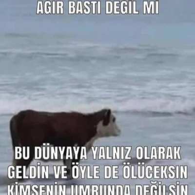 Bayram özel sad post :dd