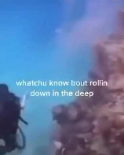 Title