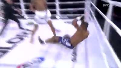 Alex Pereira's devastating striking in action