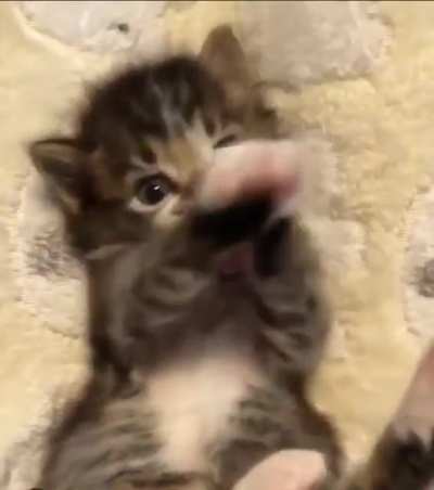 Немного милоты
