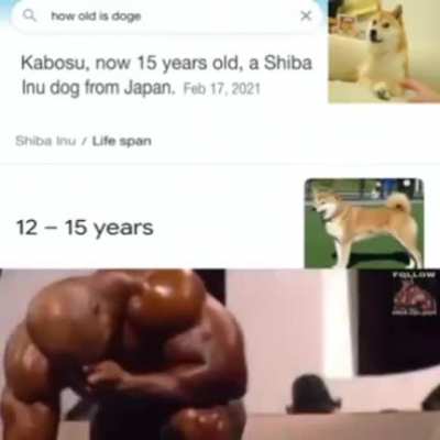 Oh no....