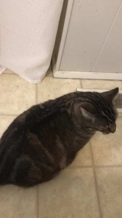 Tryin to take shit here buddy
