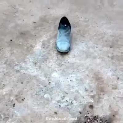 Sapato