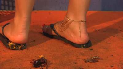 Inside Sonia's Sandals