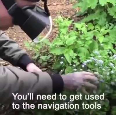 Gamer tricked into touching grass