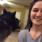 Woof_irl