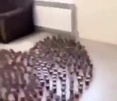 Unexpected - Video #8001