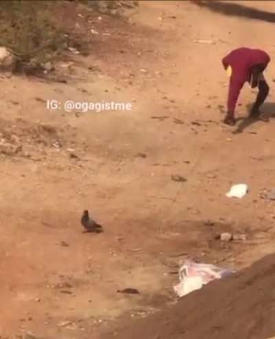 What is he up to?