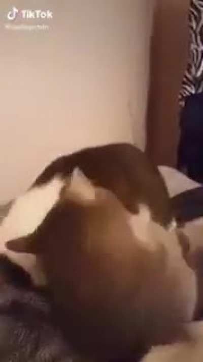 Found this glorious clip on YouTube