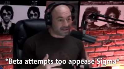 Sigma Vsauce 💪💪