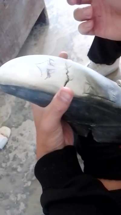 Shoe