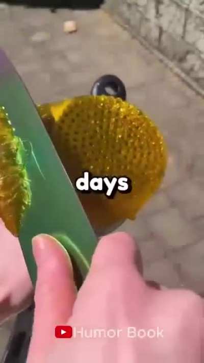 What a journey