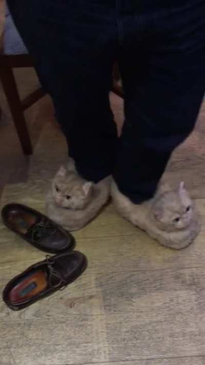 What have you done