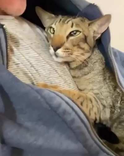 Snuggle time