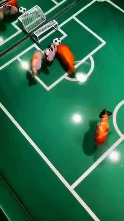 Peixinhos jogando bola :D