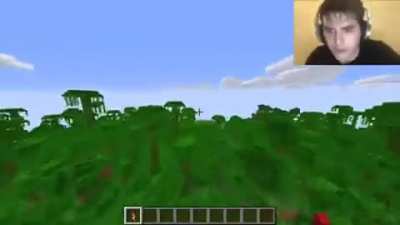 Sus
