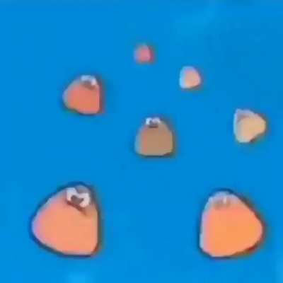 pou.mp3