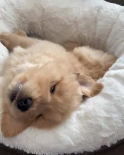 Anybody wanna cuddle wiff me..?