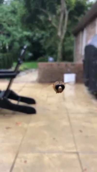 Attack!