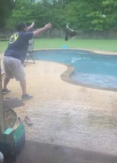 A dad and his duck
