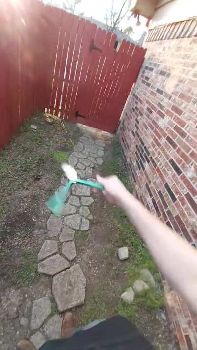Favorite trick loop
