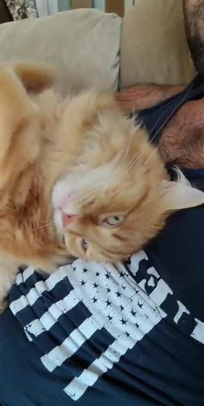 big cuddles