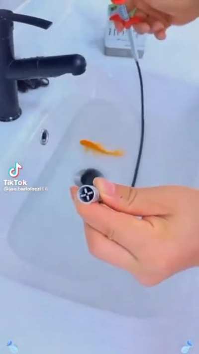 oh my Joe.