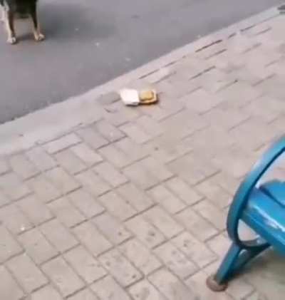 Chicken nuggets