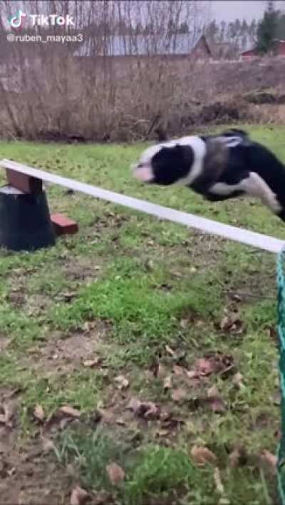 The way he jumps