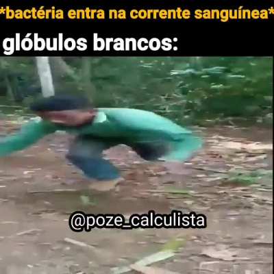 (título)