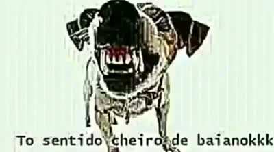 Fodasi?