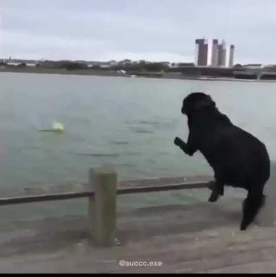 AAAAAAAAAAAAAAAAAAAAAAAAAHHHHHHHHHHHHHHHHH!