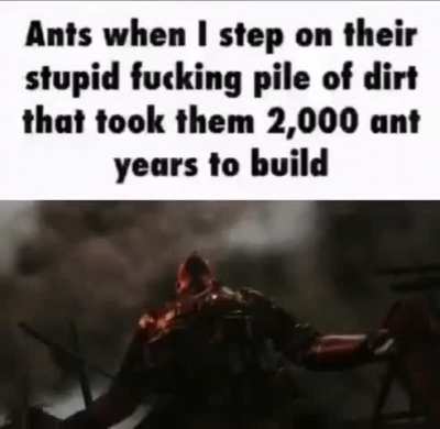 I fucking hate ants