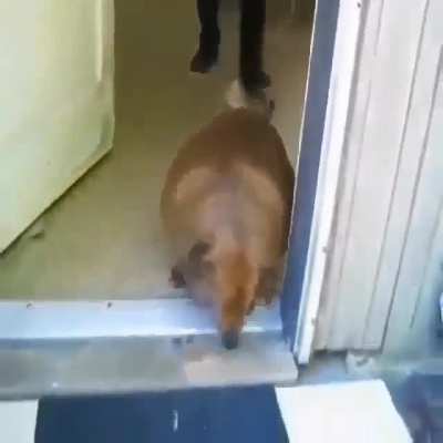 nao tinha forças ......