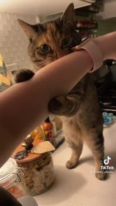 Human tasty! Nom nom!