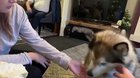 woof🐶irl
