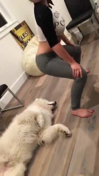 Twerking with a nice bounce