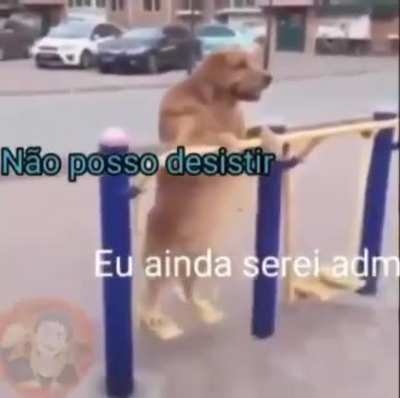 💪 estou focador