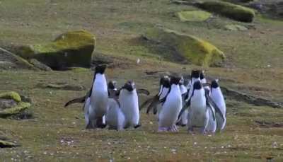 They got the hops