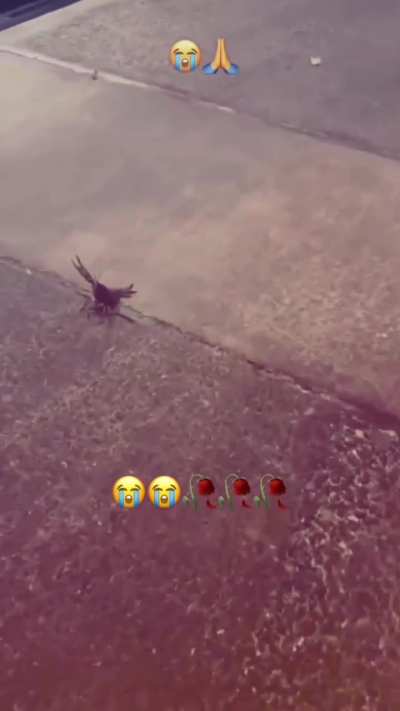 What is that 🤔