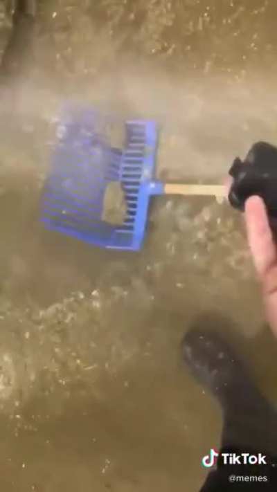 Soaked Phone