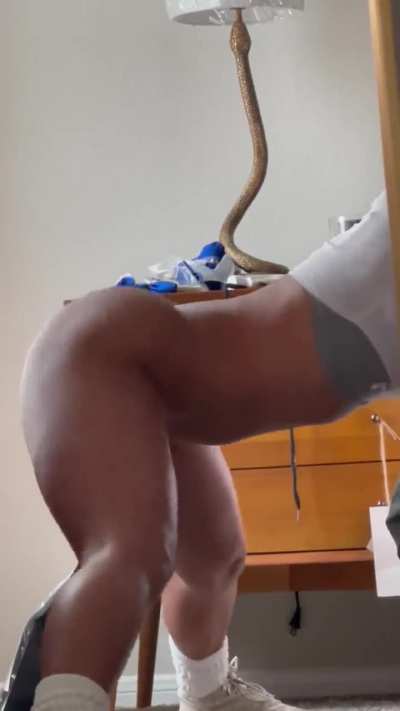 🍑🍑