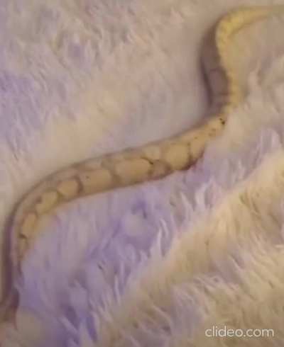 To move