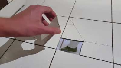 Broken Floor Tiles