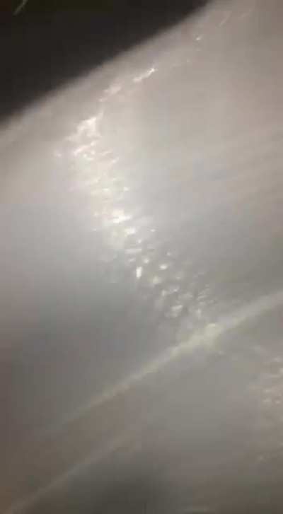 My friend put his brother in a trash bag (dont worry they were just messing around none harmed)