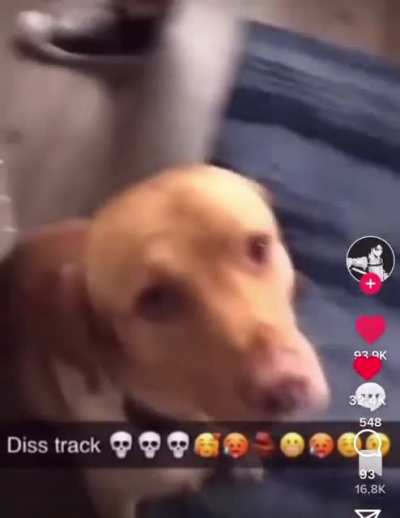 MoldyDisstrack