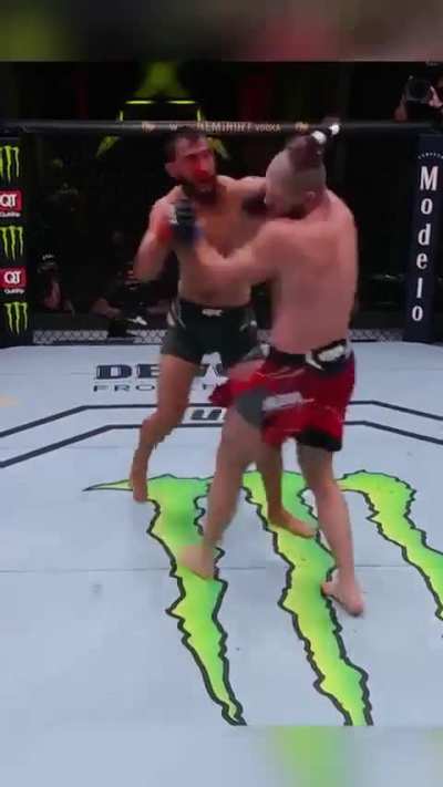 Jiří Procházka showed his warrior spirit in this fight