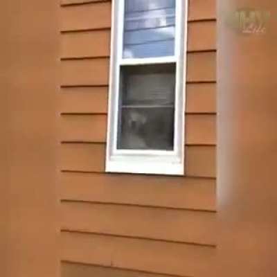No one is breaking into this house!