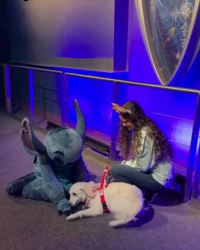 “Ezra the Golden Girl” meets Stitch at Walt Disney World.